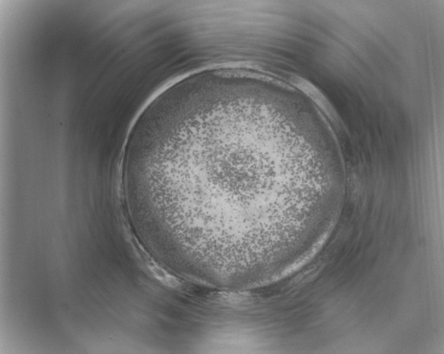 X0000074261052200609222146