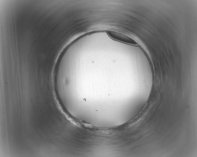 X0000074261053200609222146