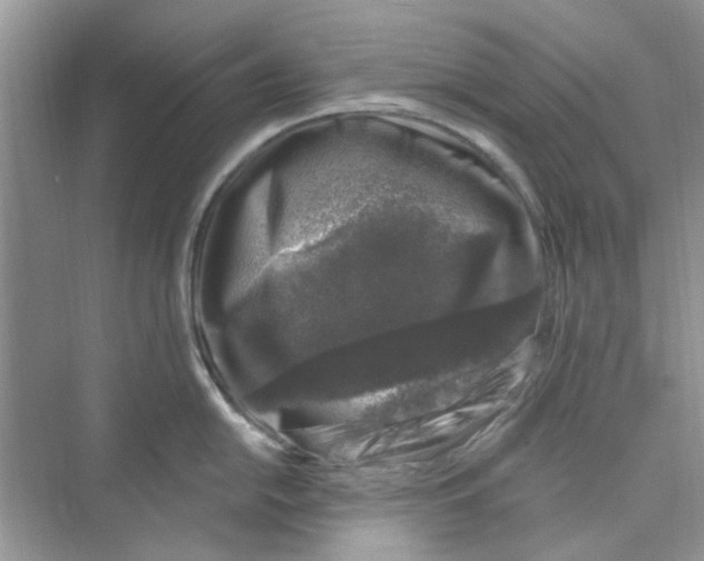 X0000074261054200609222146