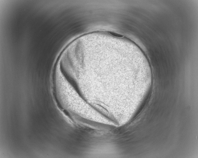 X0000074261056200609222146