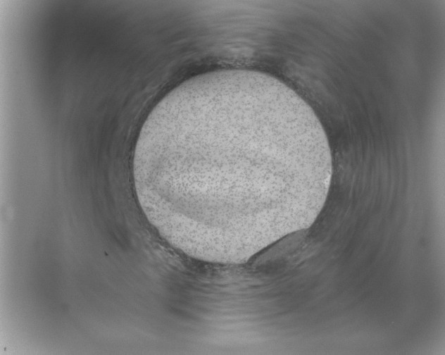 X0000074261057200609222145