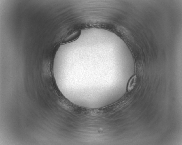 X0000074261060200609222145