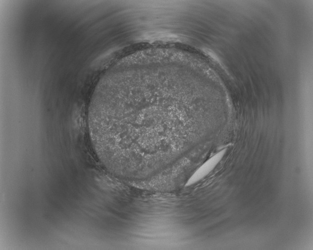 X0000074261063200609222145