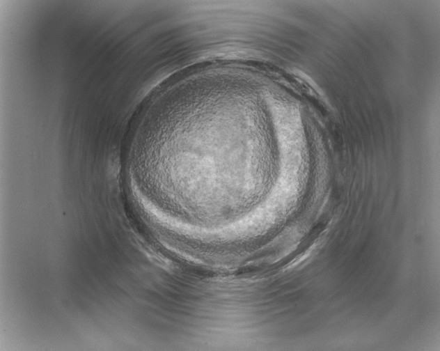 X0000074261065200609222145