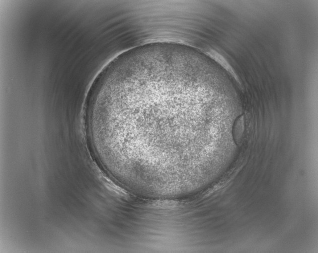 X0000074261068200609222145