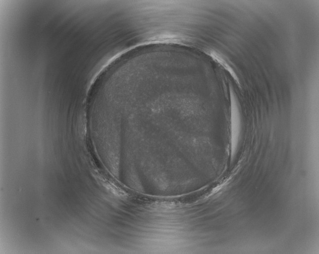 X0000074261069200609222145