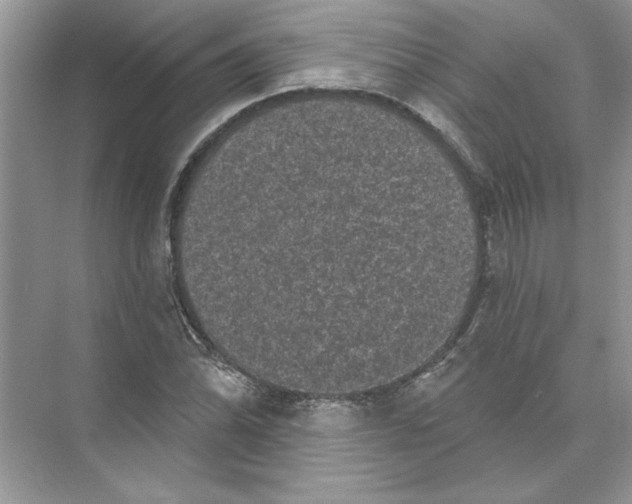 X0000074261070200609222145