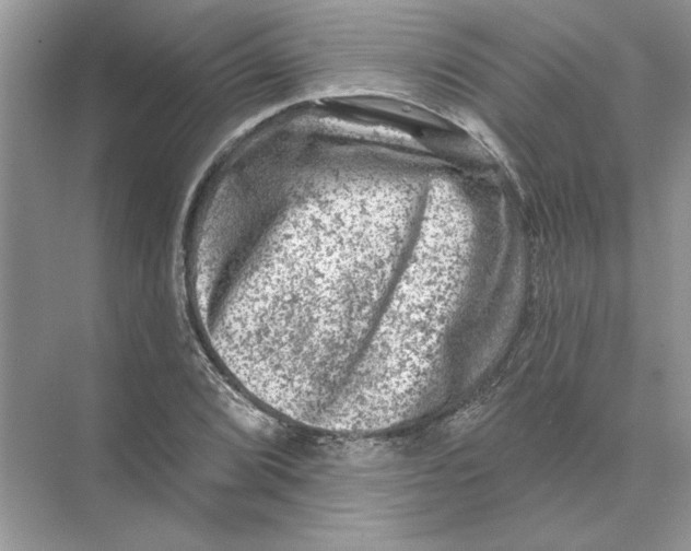 X0000074261072200609222145