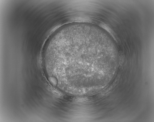 X0000074261074200609222145