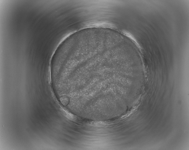 X0000074261079200609222145