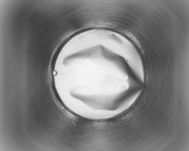 X0000074261080200609222145