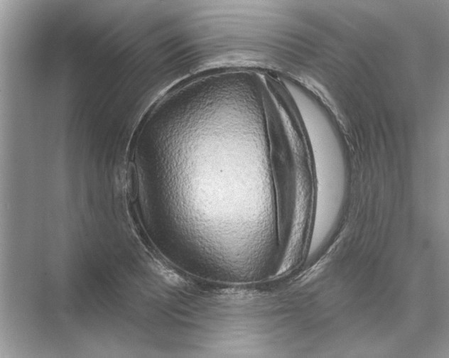 X0000074261081200609222145