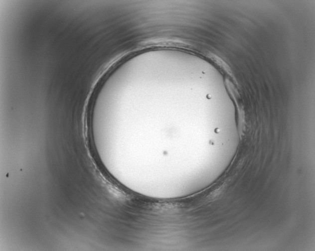 X0000074261082200609222145