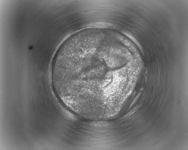 X0000074261083200609222145