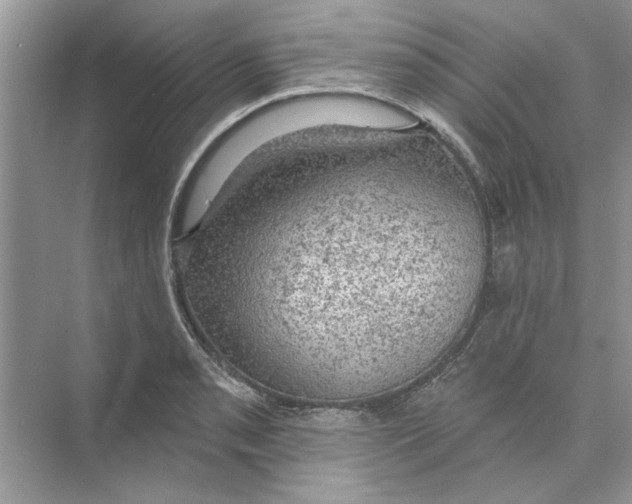 X0000074261085200609222145