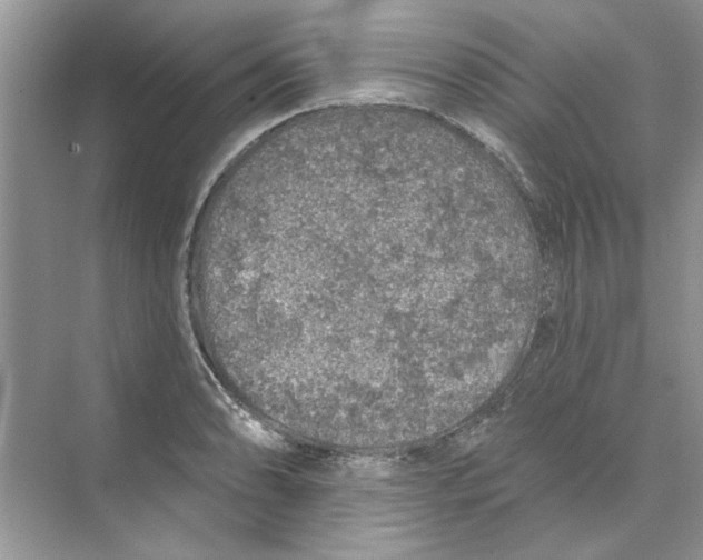 X0000074261086200609222145