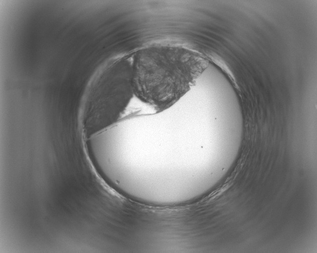 X0000074261087200609222145