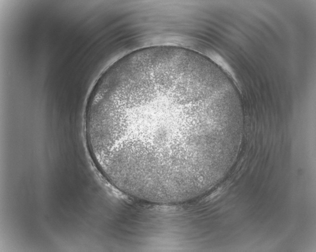 X0000074261088200609222145