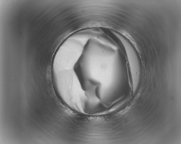 X0000074261089200609222145