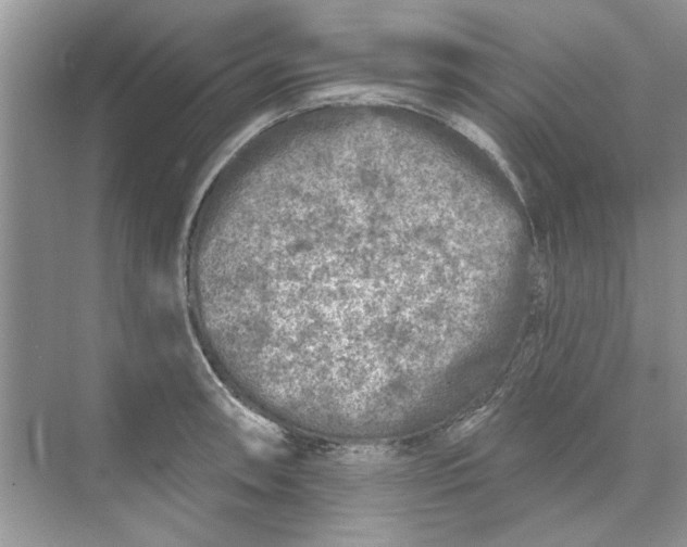 X0000074261090200609222144