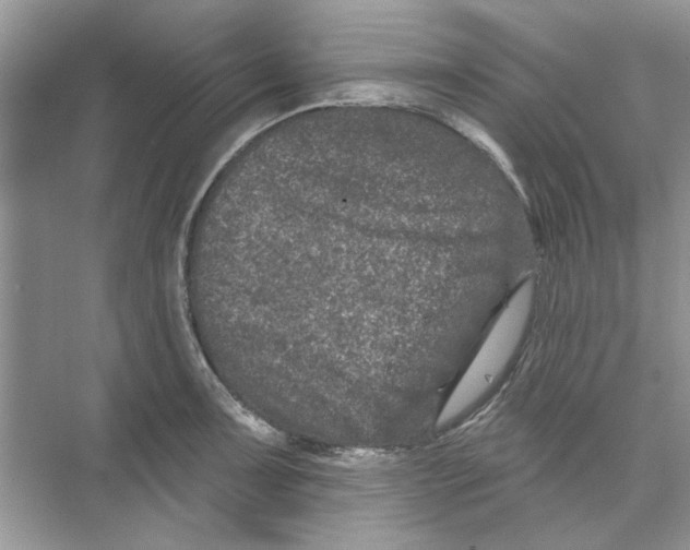 X0000074261091200609222144