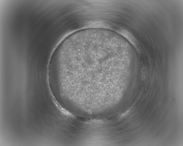 X0000074261094200609222144