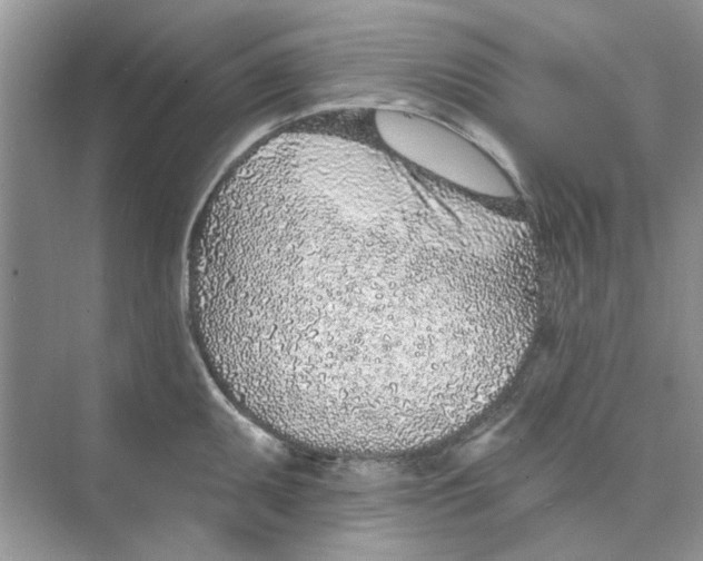 X0000074261095200609222144