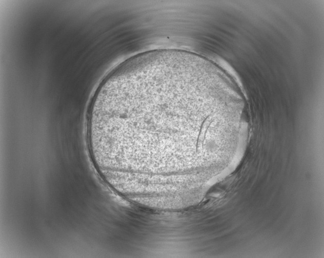 X0000074261096200609222144