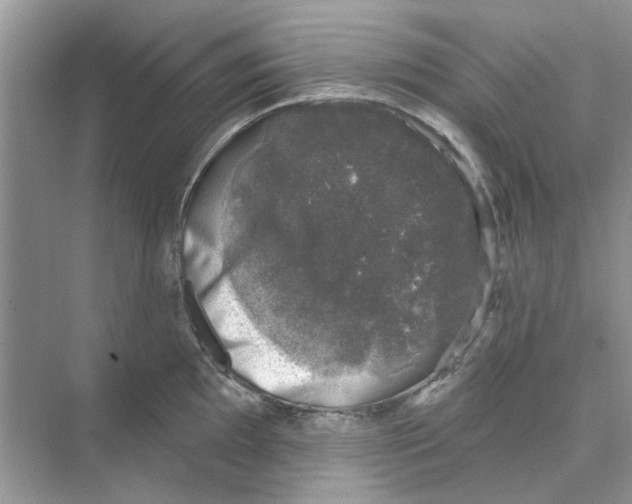 X0000074261097200609222144