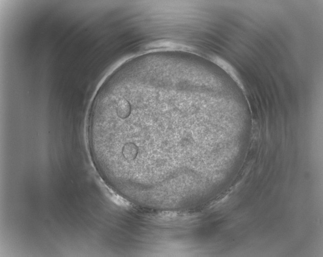 X0000074261098200609222144