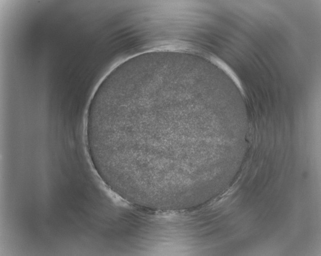 X0000074261099200609222144