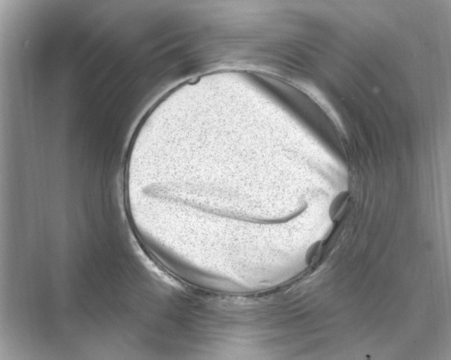 X0000074261100200609222144