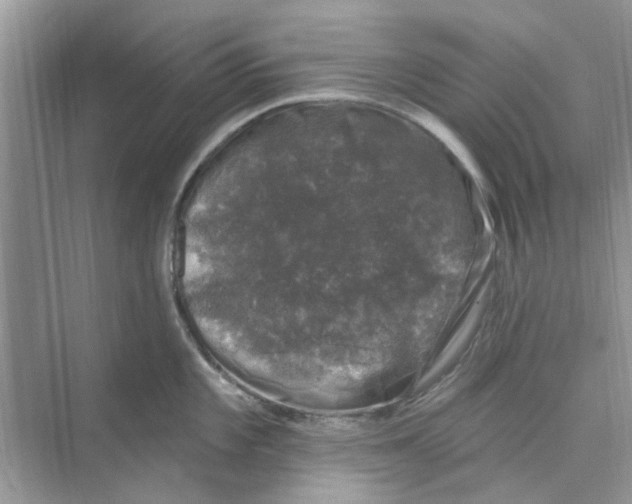 X0000074261101200609222144