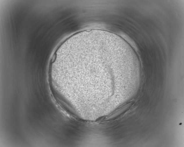 X0000074261104200609222144