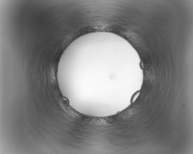 X0000074261106200609222143