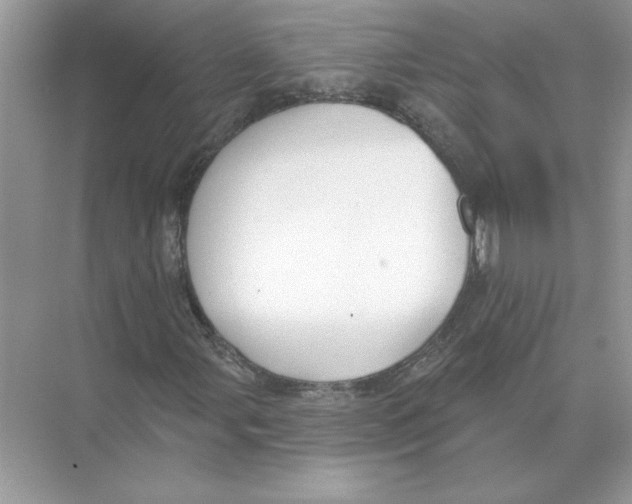 X0000074261107200609222143