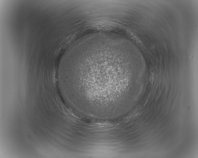 X0000074261108200609222143