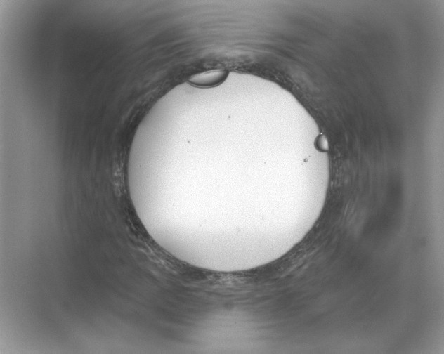 X0000074261109200609222144