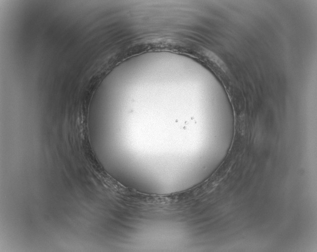 X0000074261111200609222144