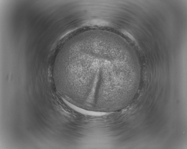 X0000074261112200609222144