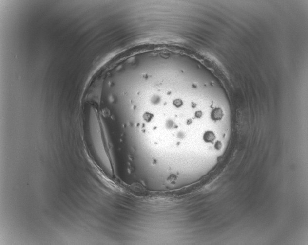 X0000074261114200609222144