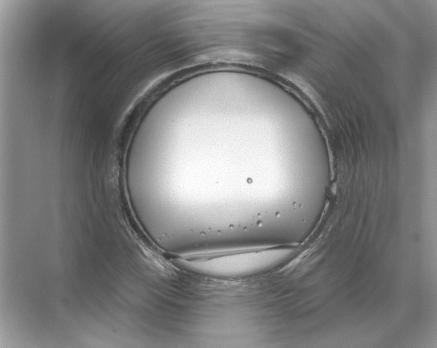 X0000074261115200609222144