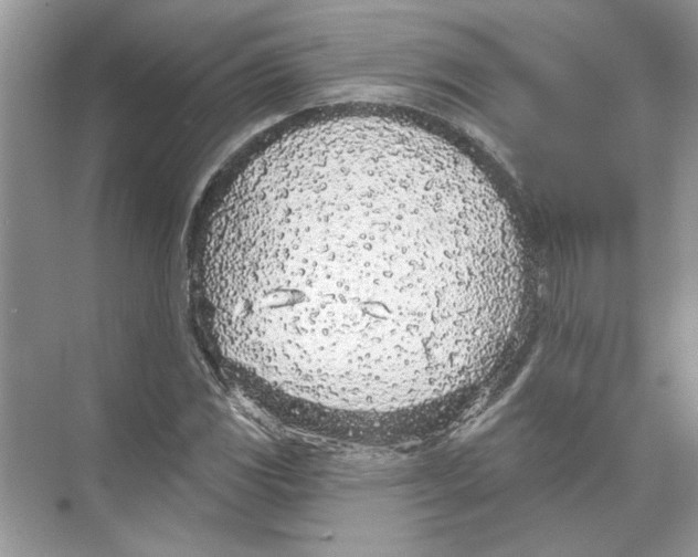 X0000074261117200609222144