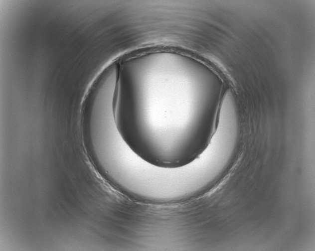 X0000074261118200609222144