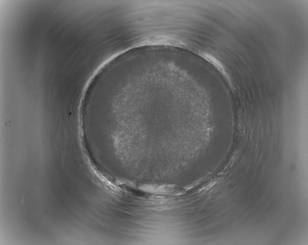 X0000074261120200609222144