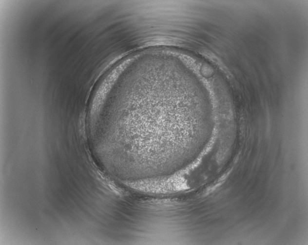 X0000074261121200609222144