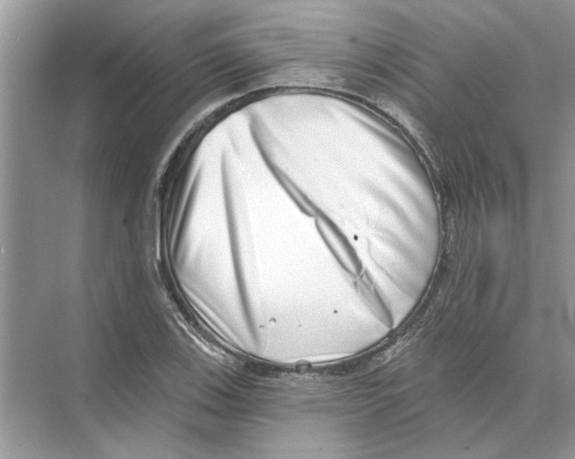 X0000074261123200609222144