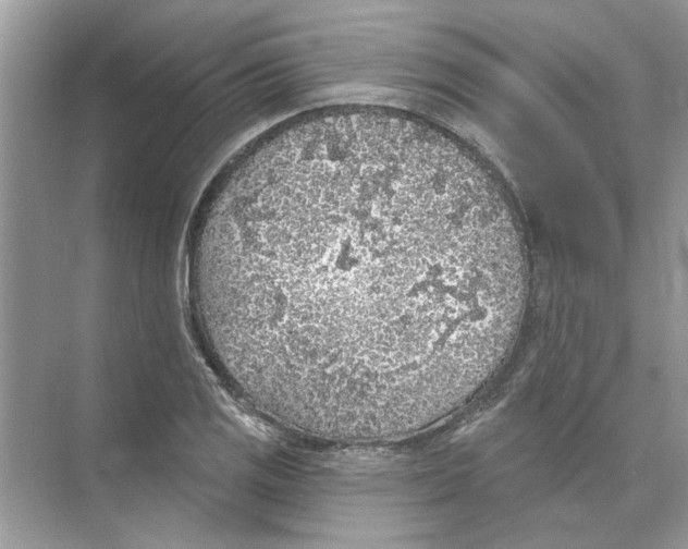 X0000074261125200609222144