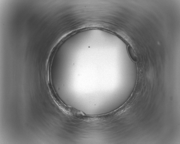 X0000074261127200609222144