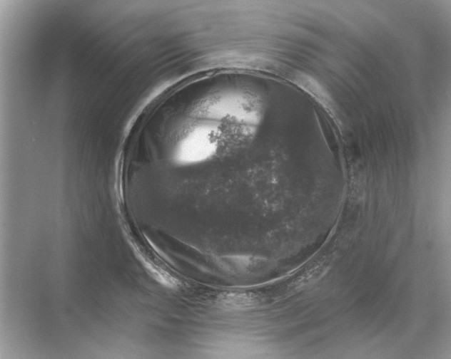 X0000074261128200609222144